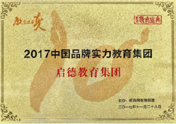 2017中国品牌实力教育集团