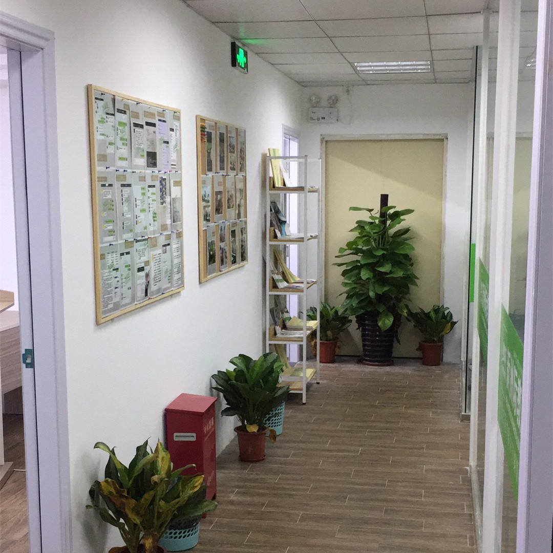 新洲学校环境