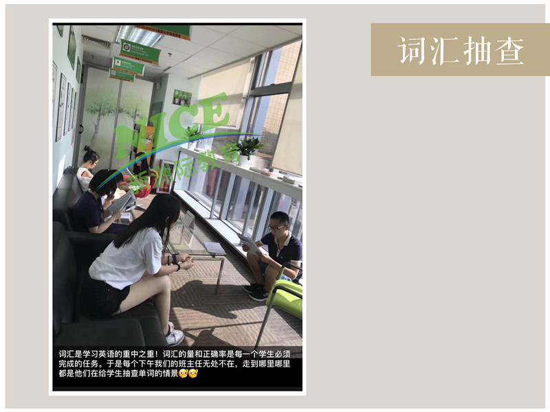 新洲学习辅导