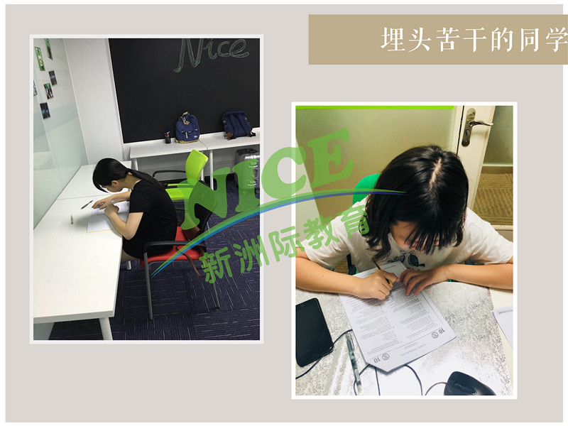 新洲学习辅导