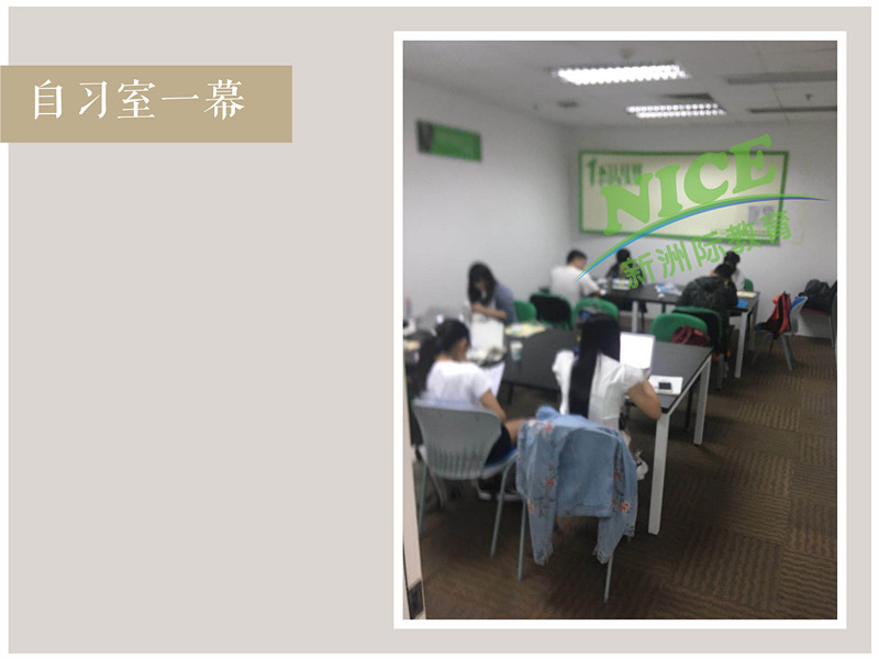 新洲学习辅导