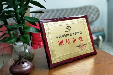 资质荣誉