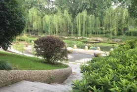 学校环境