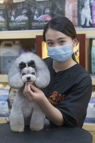 学员作品
