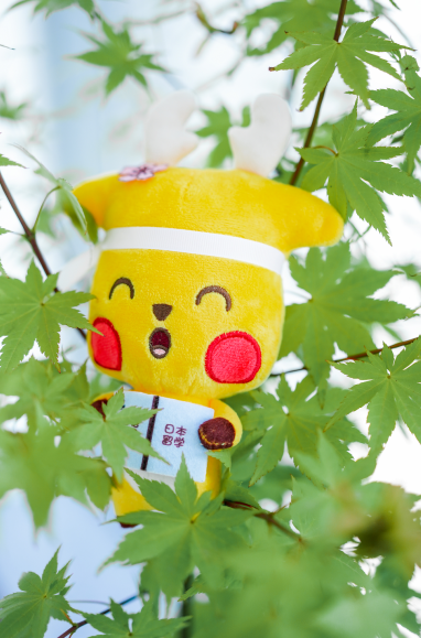 学校装饰