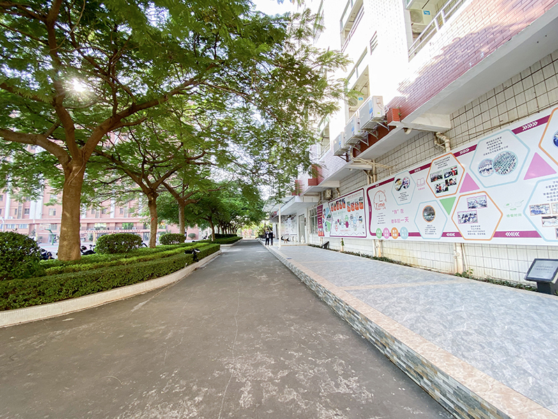 校史馆外校道