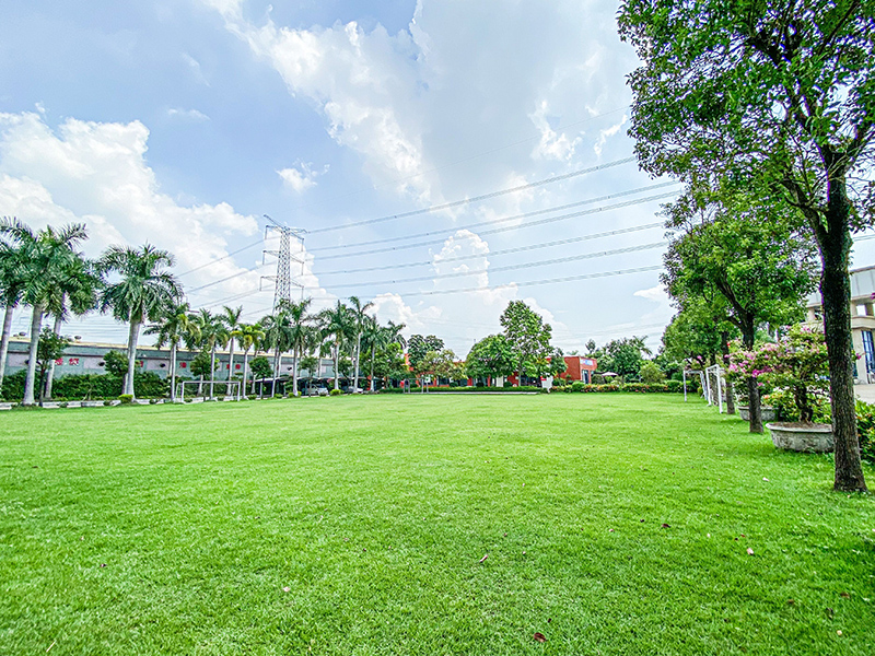 学校足球场