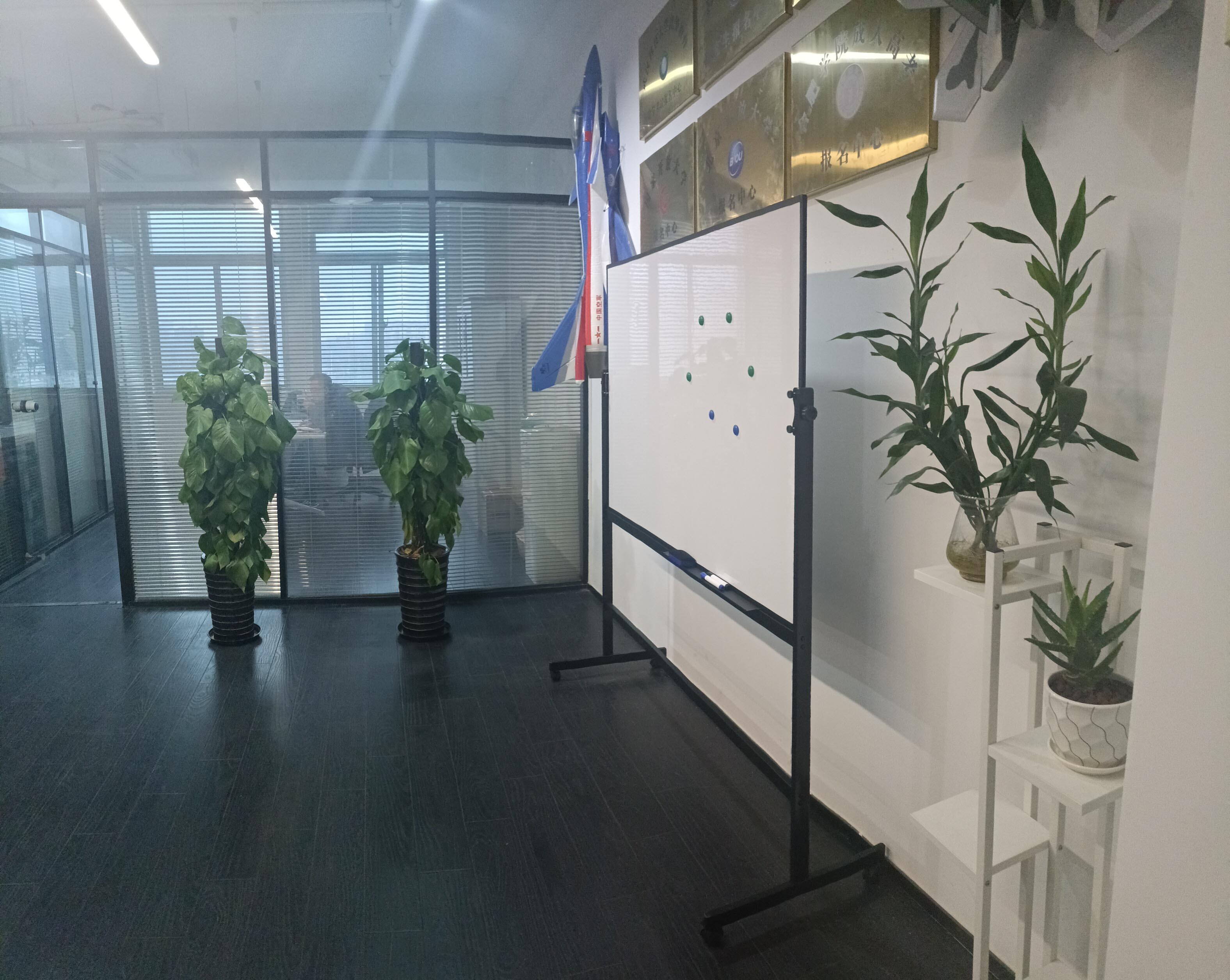 环境展示