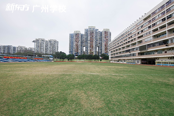 学校运动场