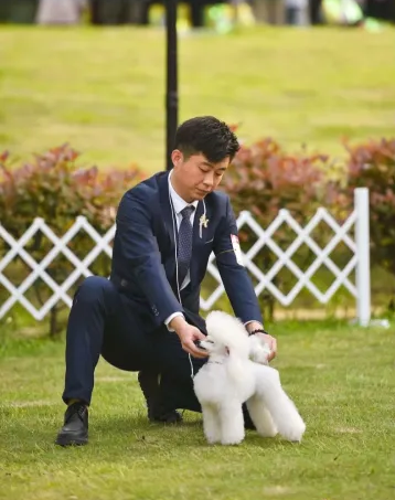 学员风采
