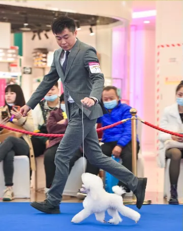 学员比赛