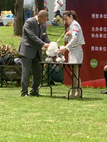 学员竞赛