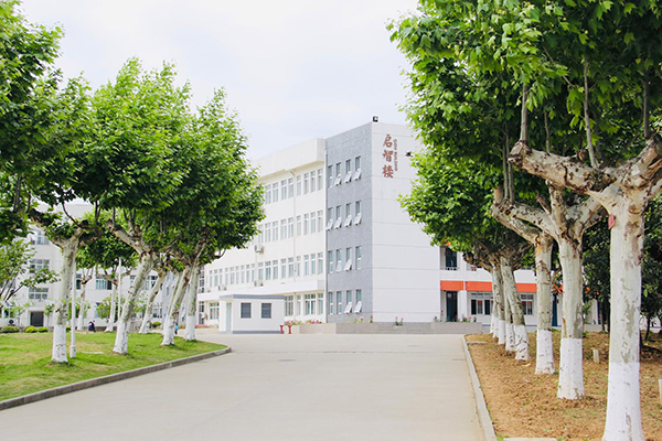 学校环境