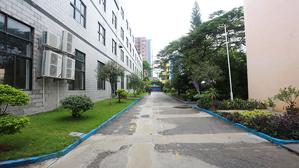 学校校道