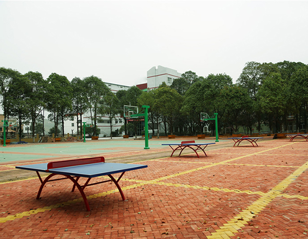 操场环境