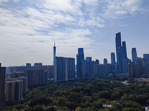 窗外风景