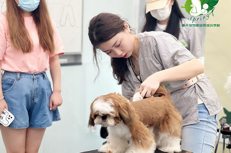 学员培训