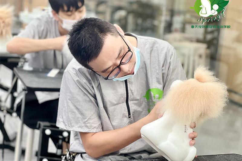 教学现场