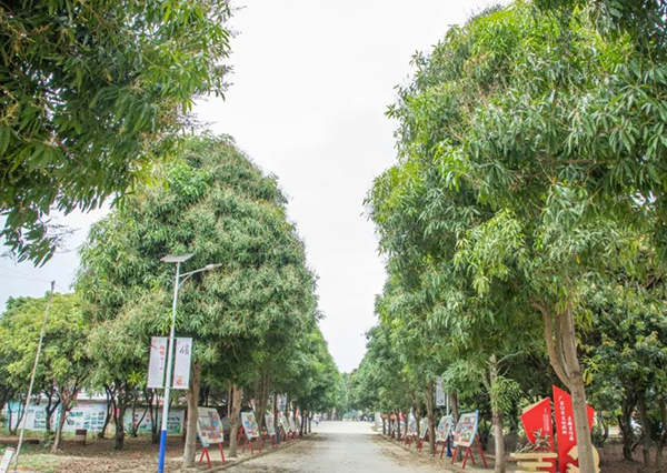 绿荫路