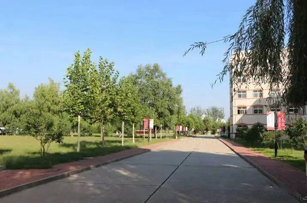 校园道路