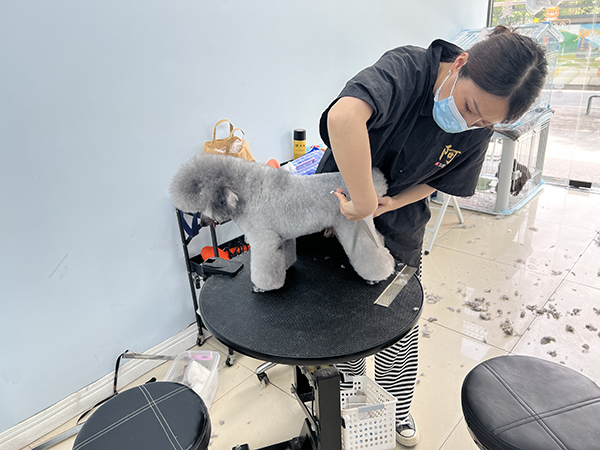 培训环境