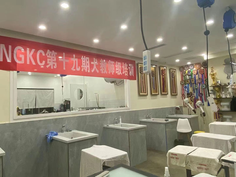 教学环境