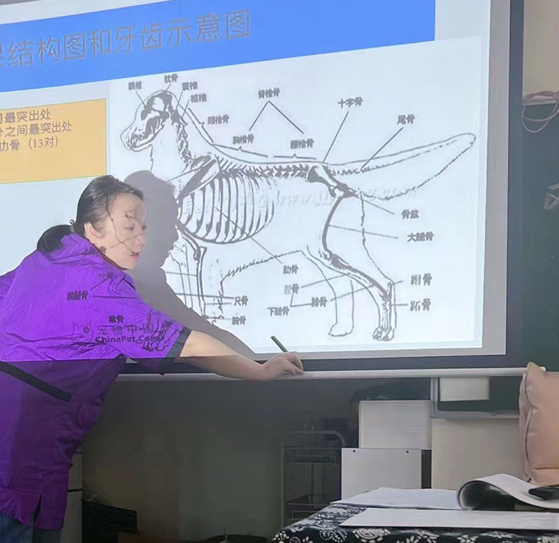 授课场景