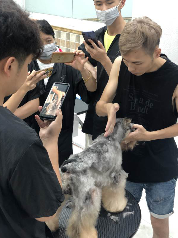 学习场面