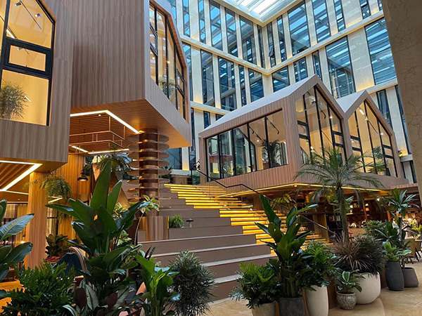 环境展示
