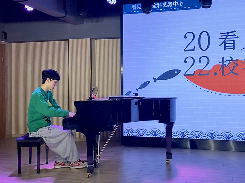 钢琴表演