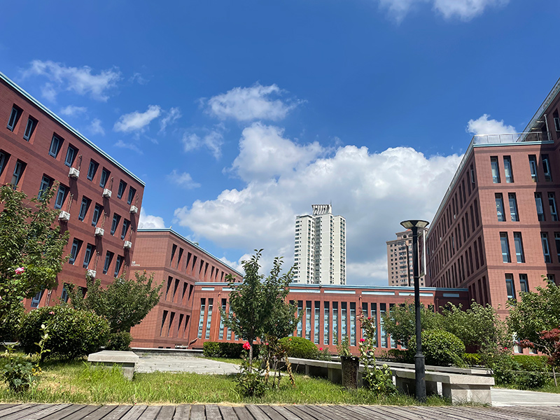 内部环境