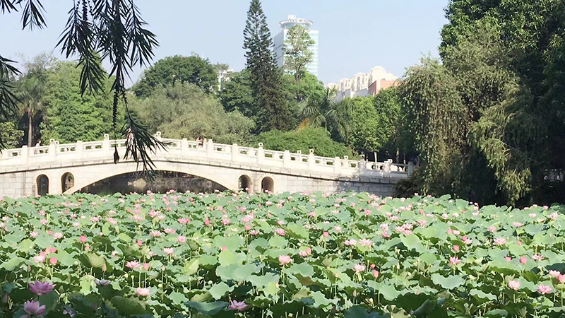 学校风景