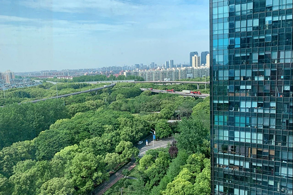 窗外风景