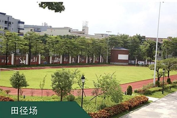 操场环境