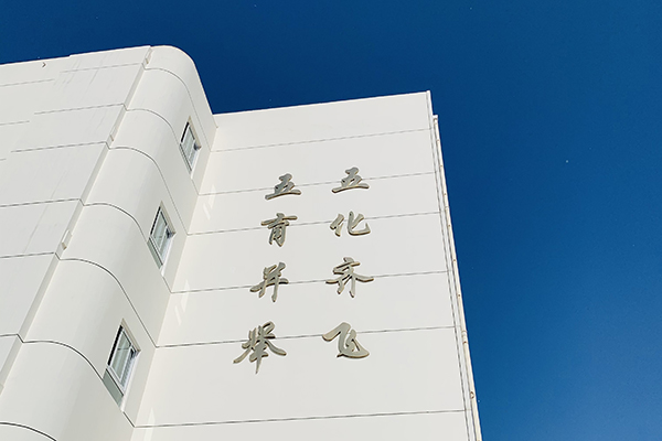 校园风景